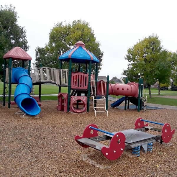 Playground equipment in a park surrounded by trees