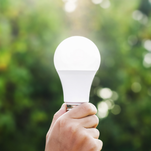 Hand holding LED light bulb