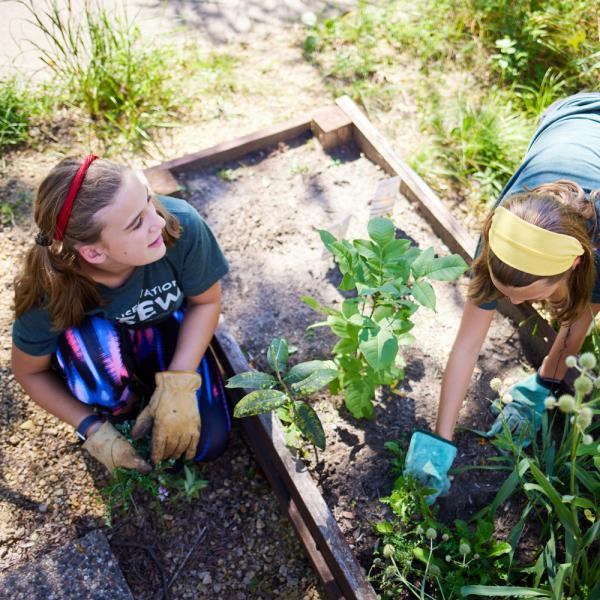 Middle school students gardening