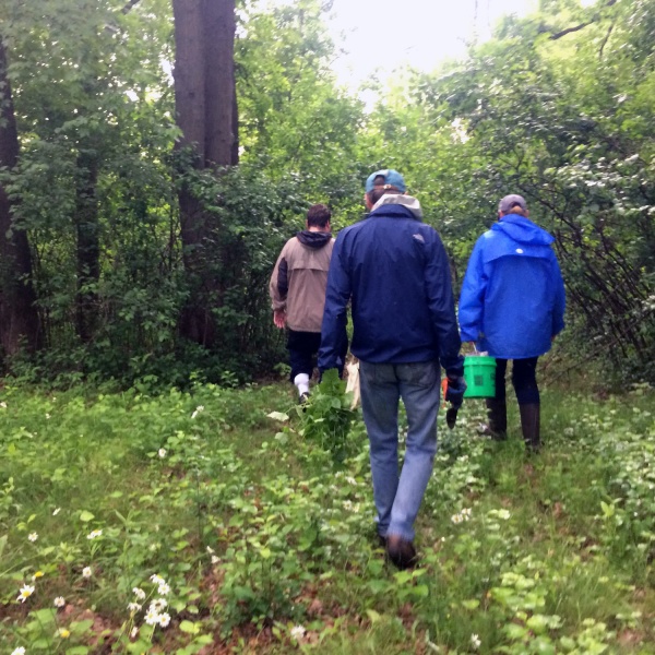 People walk into woods with buckets