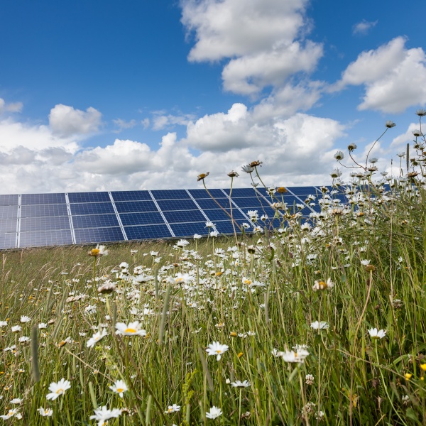 Westmill Solar and Wind Farm